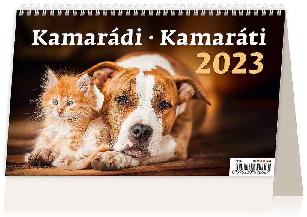 Kalendář Kamarádi