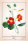 Kalendář Herbarium  (N144-25)