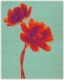 Wooden Picture Tulip  (O051)
