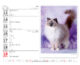 Kalendář Kočičky  (SM12-25)