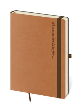 Notebook Flexies L lined Brown  (BF424-6)