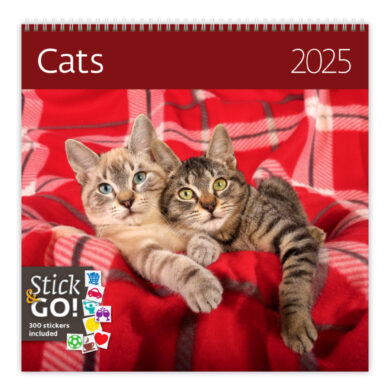 Kalendář Cats  (LP01-25)