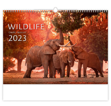 Calendar Wildlife  (N264-23)