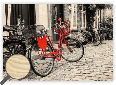 Dřevěný obraz Bicycle  (O029)