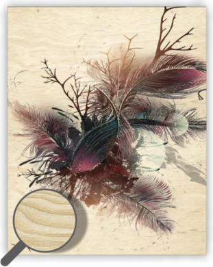 Wooden Picture Feathers  (O038)