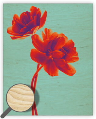 Dřevěný obraz Tulip  (O051)