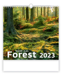 Calendar Forest