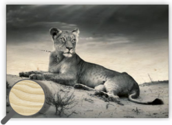 Wooden Picture Lioness