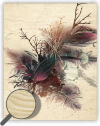 Wooden Picture Feathers