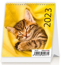 Calendar Mini Kittens