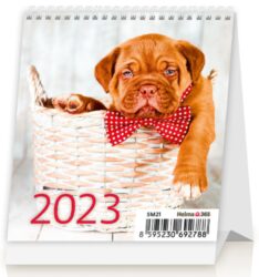Calendar Mini Puppies